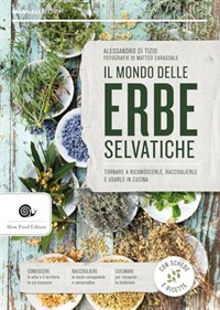 Il mondo delle erbe selvatiche