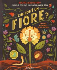 Che cos'è una farfalla?